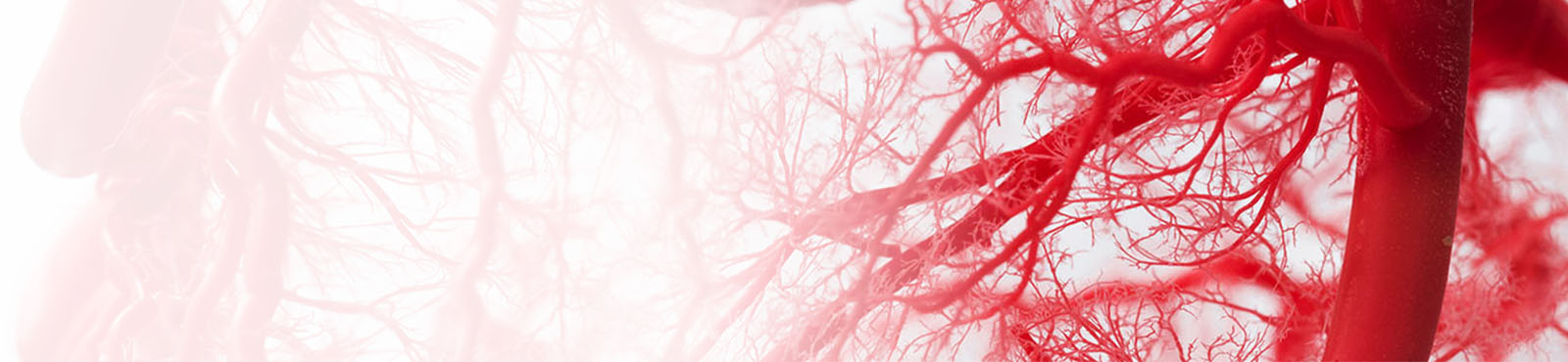 Biomedical Science (Blood Science)